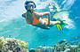 Snokelling at Fitzroy island