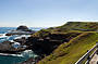 1 Day Puffing Billy, Kangaroos, Koalas and Penguins Tour